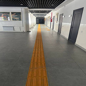 Gallery 6
